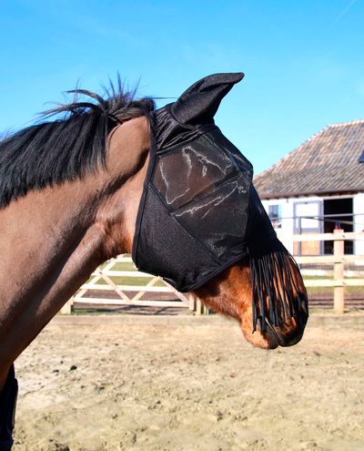 Fly mask classic with ears & nose tassels