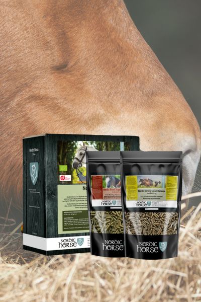 Nordic Horse spring package bigger