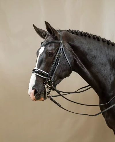 Patent Large Crank Noseband With White Padding Double Bridle