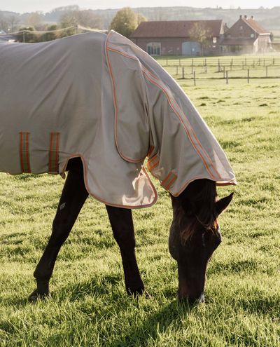 Flyswatter mesh fly rug comfort beige orange Flyswatter mesh fly rug comfort beige orange