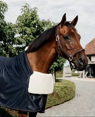 Chest protection Horse BIB chest protection Sheepskin Kentucky