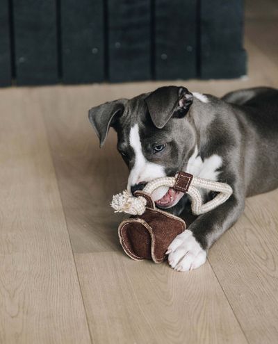 Rope toy Cotton rope baseball