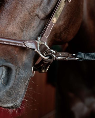 Horse box lead & cross ties Horse box lead & cross ties