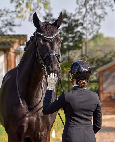 Nightshade Reflection BelliNoxx