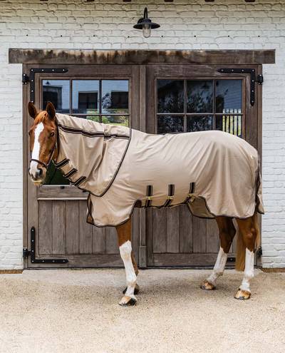 Flyswatter mesh fly rug comfort beige orange (copy) Flyswatter mesh fly rug comfort beige orange (copy)