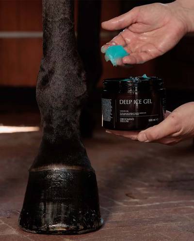 Deep Ice Gel (500 ml) Kentucky