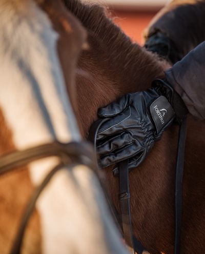 FortiNut Gloves Leather Black