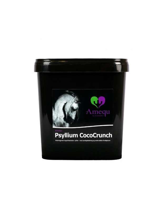 Psyllium CocoCrunch (3kg)