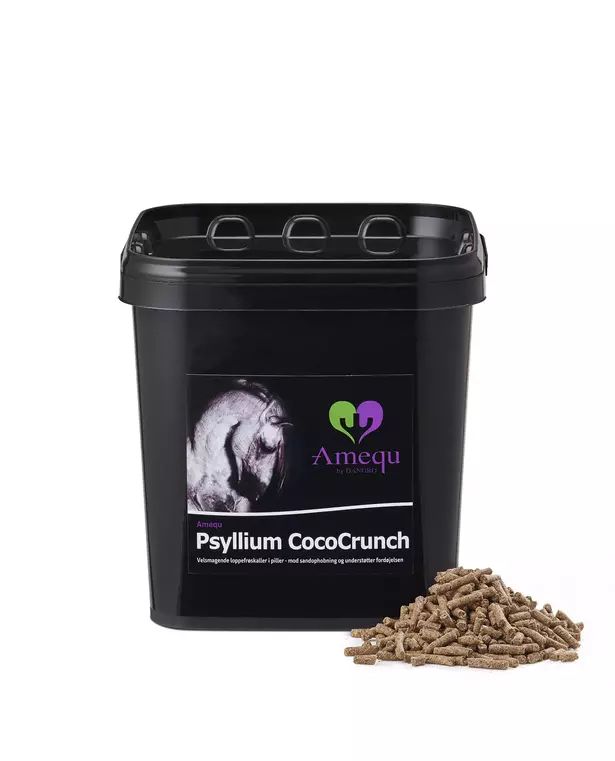 Psyllium CocoCrunch (3kg)