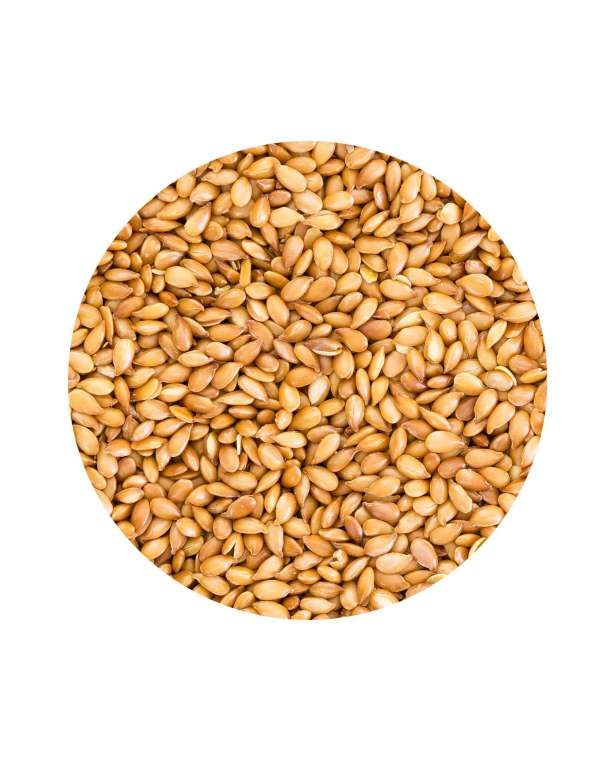Golden Flaxseed Amequ BEST BEFORE