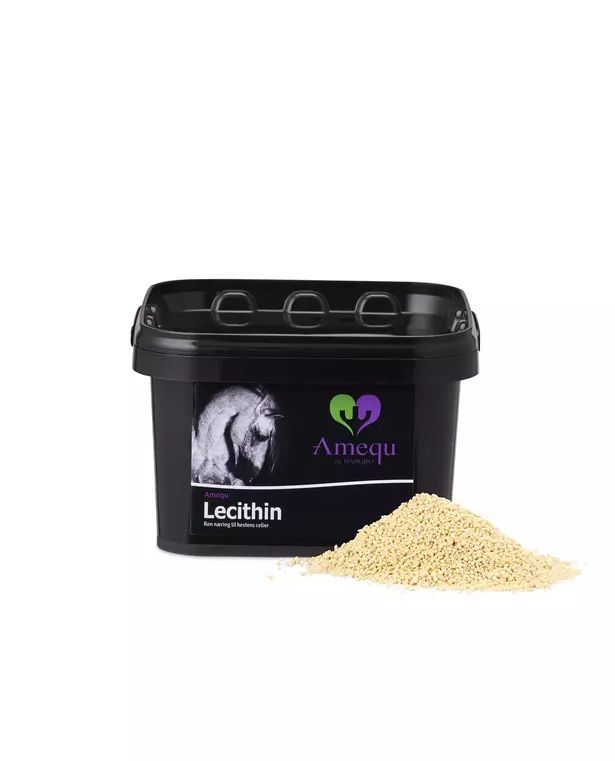 Lecithin Amequ 3kg BEST BEFORE