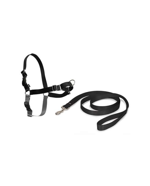 PetSafe Easy Walk-harness+leash, black