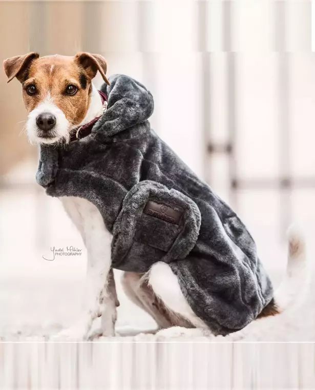 Dog Coat Fake Fur Kentucky